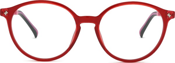 Active Clip on F 0499 48 021 000 48 (klips przeciwsłoneczny)