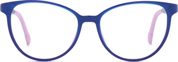 Active Clip on F 0654 48 074 000 F 48 (klips przeciwsłoneczny)