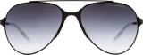 Carrera 113/S 003/HD 253