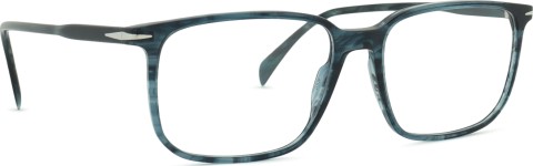 David Beckham DB 1231 38I 17 57