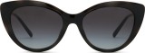 Emporio Armani EA 4213U 50171W 53 (klips przeciwsłoneczny) 36744