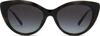 Emporio Armani EA 4213U 50171W 53 (klips przeciwsłoneczny) 36744