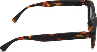 Izipizi Sun Junior #C Tortoise (dla wieku 7 - 11 lat)