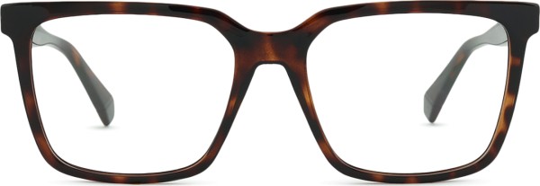 Polaroid PLD D556/C 086 17 54 (klips przeciwsłoneczny)