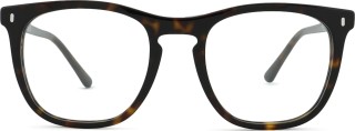 Ray-Ban 0RX2210V 2012