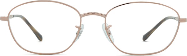 Ray-Ban 0RX3749V 2943 55