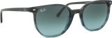Ray-Ban Elliot RB2197 1391GK 52