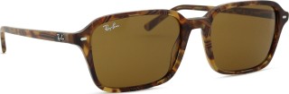 Ray-Ban Raimond RB2231 141833