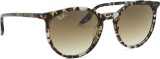 Ray-Ban RB2204 143151 51