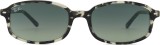 Ray-Ban RB2232 133371 56 45247