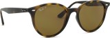 Ray-Ban RB4305 710/83 53